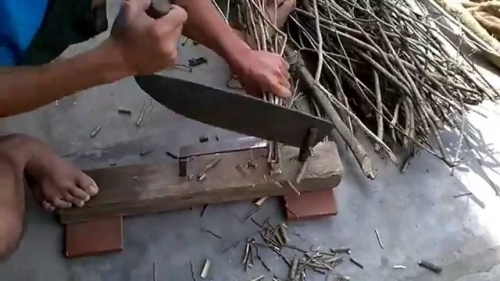 Thực hư 'thần dược' cây an xoa chữa khỏi ung thư giai đoạn cuối? - Ảnh 3