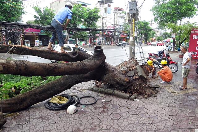  Khắc phục thiệt hại sau bão số 1 tại Hải Phòng. (Ảnh: Mạnh Thắng) 