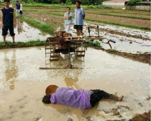 Xót xa người cha gục chết giữa thửa ruộng đang cày vì kiệt sức - Ảnh 1