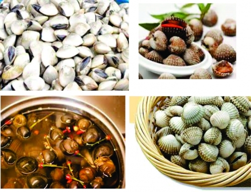 Những thực phẩm cần tránh xa khi có dấu hiệu cảm cúm - Ảnh 5