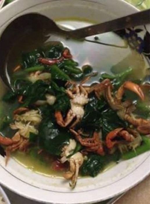 cuoi nghieng nga voi bat canh cua nguyen con ngay ra mat nha nguoi yeu 1