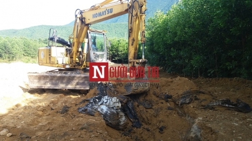 Xem xét hình sự đối với cá nhân ông Ngưu Tuấn Phát của Formosa - Ảnh 1