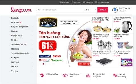 Website Lingo.vn dong cua: Ket cuc cua ke dot tien hinh anh 1