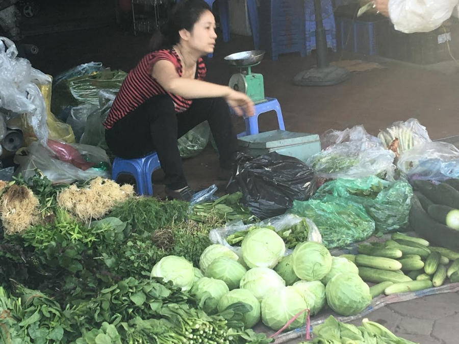 rau đà lạt, bắp cải đà lạt, cải thảo đà lạt, rau đà lạt giá rẻ, dân ăn rau Trung Quốc, bắp cải trung quốc