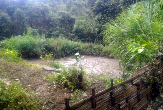 Hien truong vu tham sat 4 nguoi o Lao Cai hinh anh 5