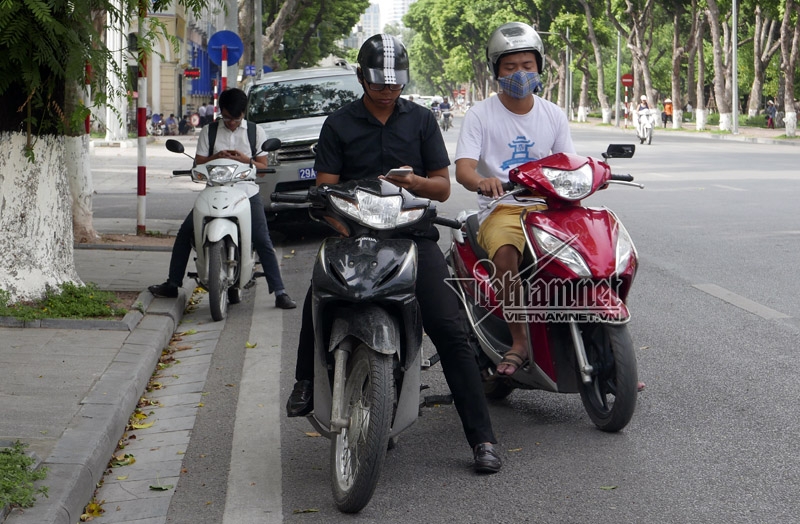 Pokemon Go, săn Pokemon, bắt Pokemon, game thủ, dừng đỗ sai quy định, sử dụng điện thoại khi tham gia giao thông