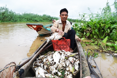 cong-ty-vut-xac-heo-thoi-ra-song-sai-gon-bi-de-nghi-phat-300-trieu-dong