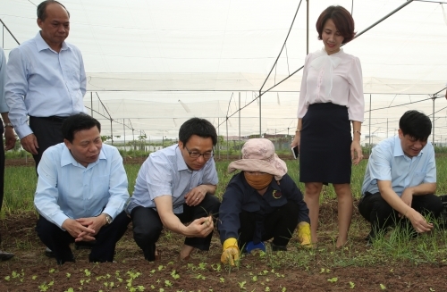 Phó Thủ tướng: 'Chuyện 1 luống rau để ăn, 1 luống để bán đã ít đi' - Ảnh 1