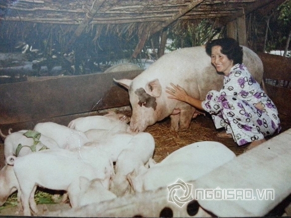 Hoài Linh 0