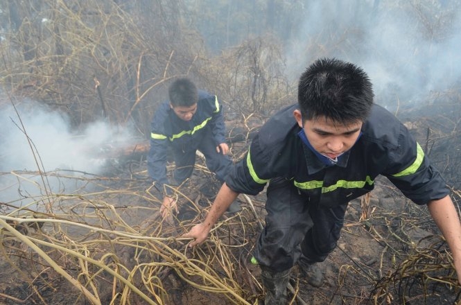 Cháy lớn tại rừng Nam Hải Vân  