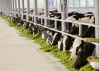 Vinamilk 40 năm Vươn cao Việt Nam – Vươn Tầm Thế Giới - ảnh 2