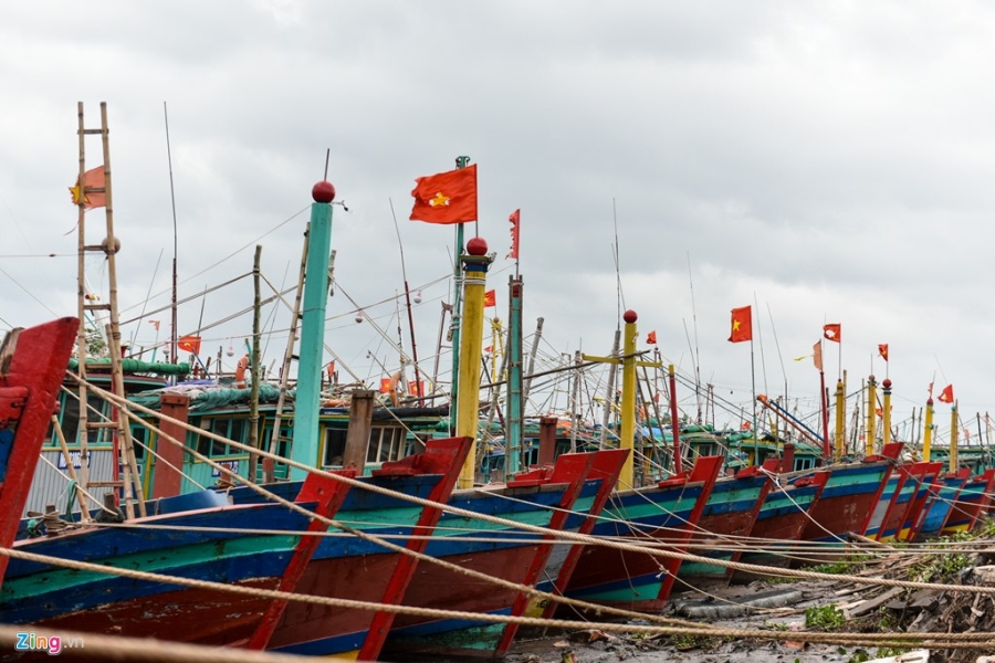 Nguoi dan Nam Dinh, Hai Phong chuan bi ung pho bao so 3 hinh anh 8