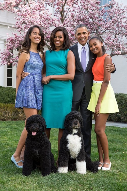 Phim ve chuyen tinh cua tong thong Obama sap cong chieu-Hinh-2