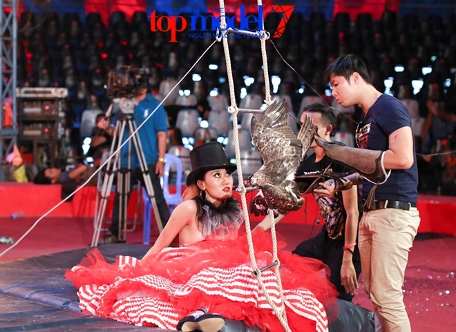 Co gai cao nhat nha chung Next Top bi loai vi dien do hinh anh 1