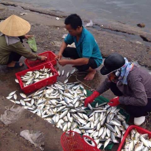 tin moi nhat ve ket qua kiem nghiem ca o mien trung hinh anh 1