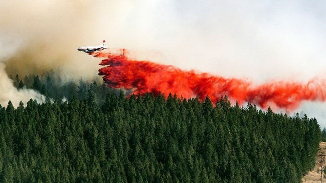 ​10.000 lính cứu hỏa chống cháy rừng ở California ​ 