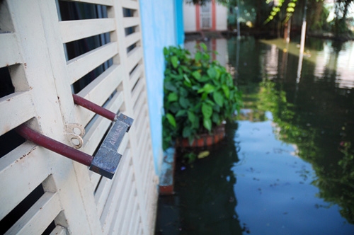 sau bao 5 ngay, nguoi ha noi van phai “di cu” vi ngap hinh anh 5