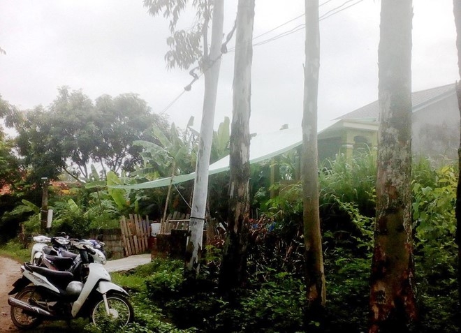 Di tham ong, hai chau nho roi xuong ao chet duoi hinh anh 1