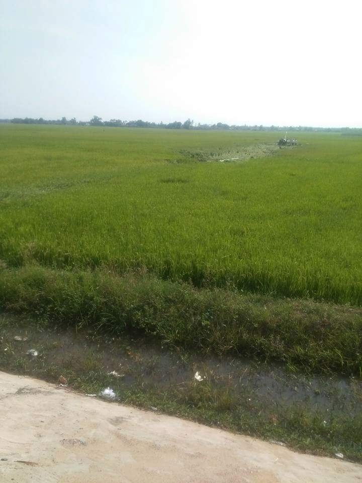 chum anh hien truong vu may bay roi o phu yen hinh anh 1
