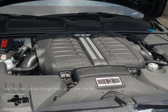  Bentley Bentayga phiên bản tiêu chuẩn được trang bị khối động cơ W12, tăng áp kép, dung tích 6.0 lít, sản sinh công suất tối đa 600 mã lực và mô-men xoắn cực đại 900 Nm. 