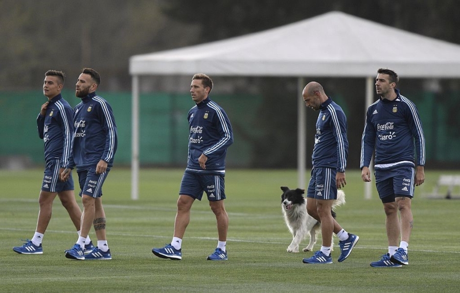 Messi dinh chan thuong, bo buoi tap cung DT Argentina hinh anh 3