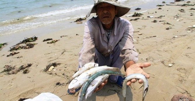 Formosa đã chuyển đủ 500 triệu USD bồi thường vụ cá chết