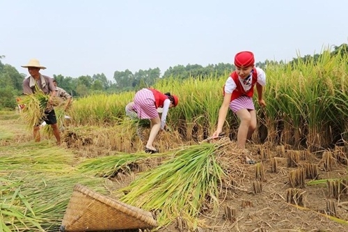 nu tiep vien hang khong tq di giay cao got gat lua hinh anh 5