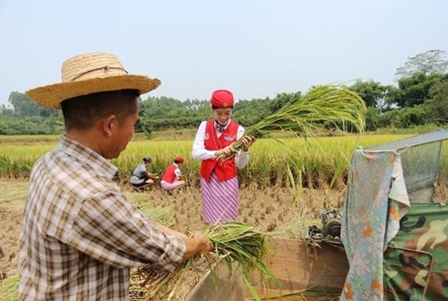 nu tiep vien hang khong tq di giay cao got gat lua hinh anh 8