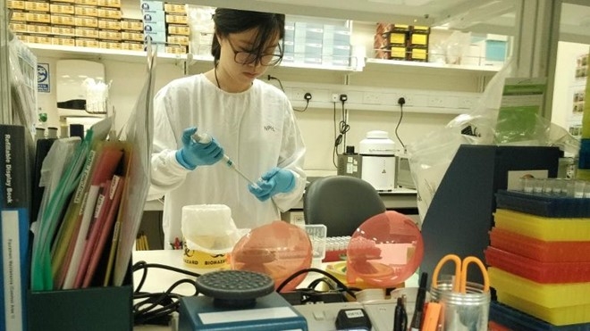 Singapore phat hien thai phu dau tien nhiem virus Zika hinh anh 1