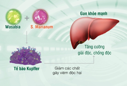 la-gan-nguoi-viet-kho-nhat-the-gioi-1