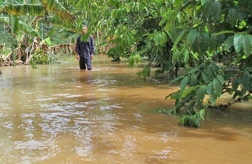 Việc chặn dòng gây ngập úng nhiều nhà dân. Ảnh: Khánh Hương