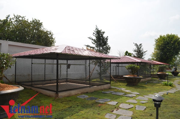 Hoài Linh, nhà thờ Tổ, nhà thờ tổ của Hoài Linh