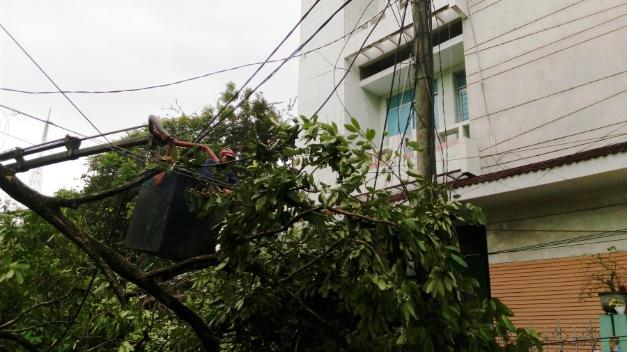 Bão số 4 'tấn công' miền Trung: Cây xanh ngã đổ la liệt, người đi đường bị gió thổi liêu xiêu - ảnh 3