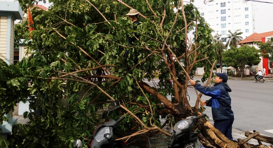 Bão số 4 'tấn công' miền Trung: Cây xanh ngã đổ la liệt, người đi đường bị gió thổi liêu xiêu - ảnh 11