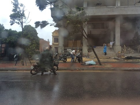 Bão số 4 'tấn công' miền Trung: Cây xanh ngã đổ la liệt, người đi đường bị gió thổi liêu xiêu - ảnh 13
