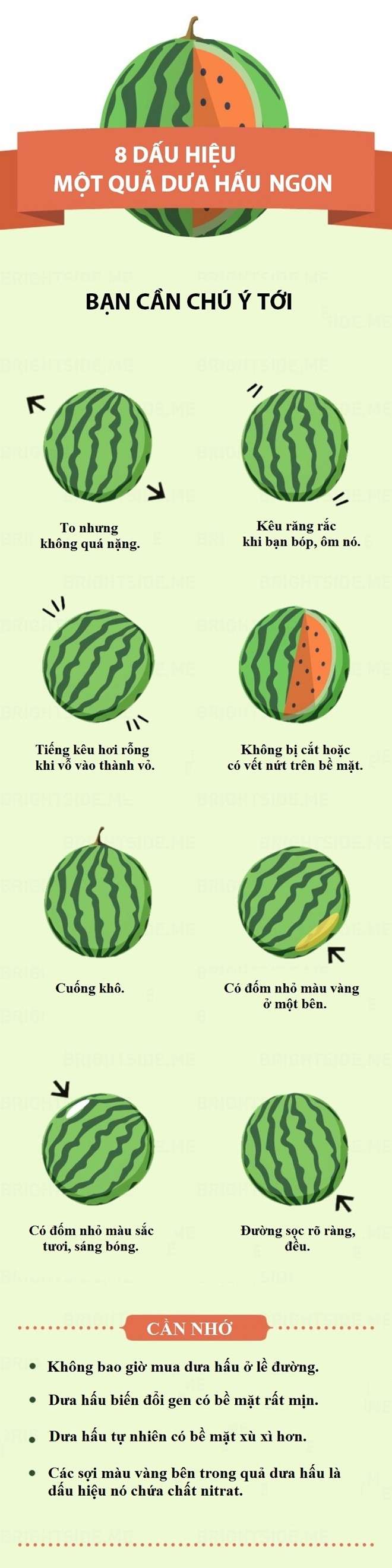 8 dau hieu can nho khi chon dua hau hinh anh 1
