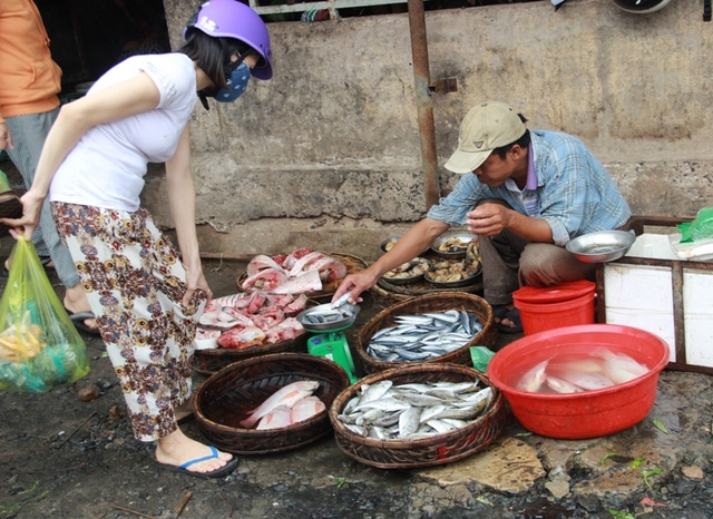 Chỉ số ít người dân chọn mua cá biển sau khi có kết luận của Bộ Y tế