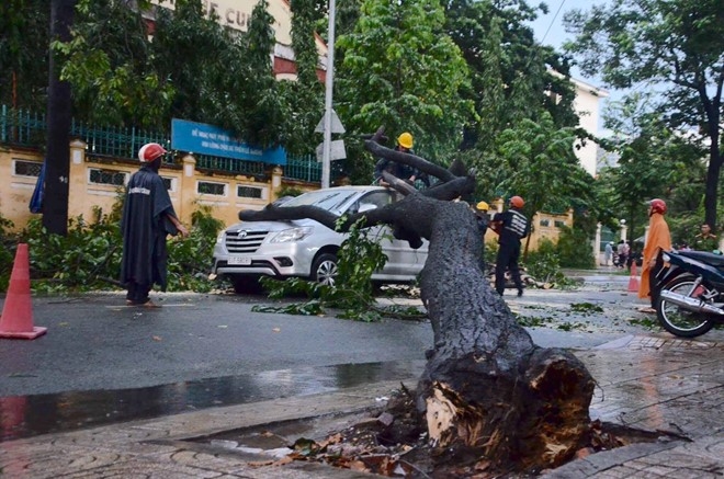 Sai Gon mua khong lon, duong Nguyen Huu Canh van ngap nang hinh anh 3