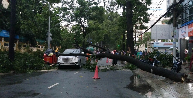 Sài Gòn mưa trắng trời ngày thứ 3 liên tiếp, cây đổ đè ô tô