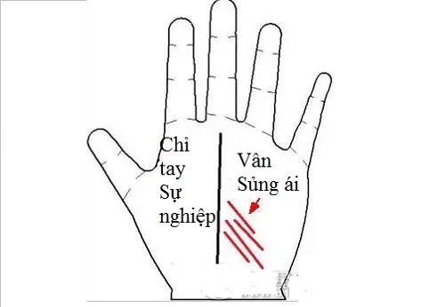 van-tay