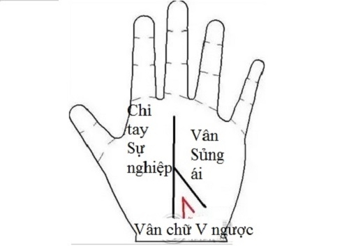 van-tay.01