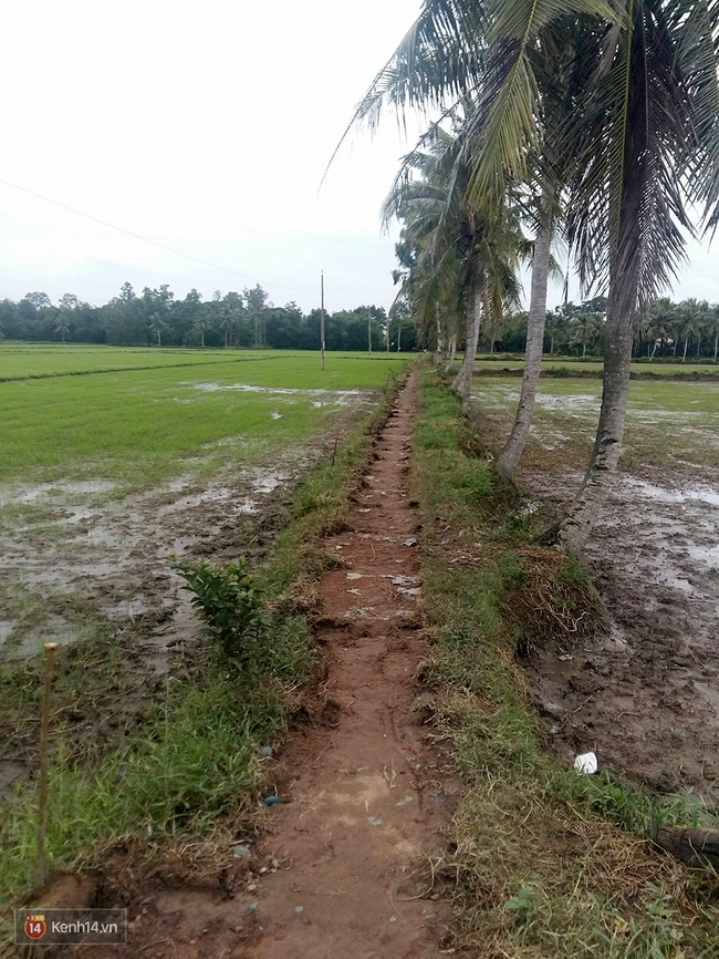 Trong căn nhà tuềnh toàng đến xác xơ của Tùng Sơn ở quê, bố mẹ đang lo lắng vì không liên lạc được với con - Ảnh 2. Trong căn nhà tuềnh toàng đến xác xơ của Tùng Sơn ở quê, bố mẹ đang lo lắng vì không liên lạc được với con - Ảnh 2.