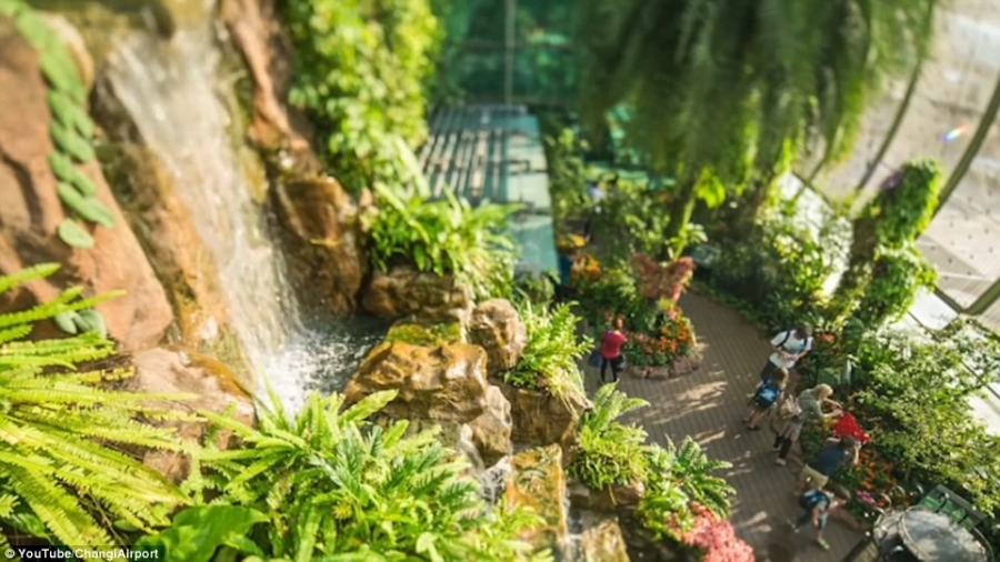24 gio ben trong Changi - san bay tot nhat the gioi hinh anh 2