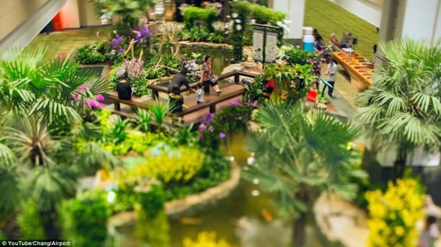 24 gio ben trong Changi - san bay tot nhat the gioi hinh anh 4