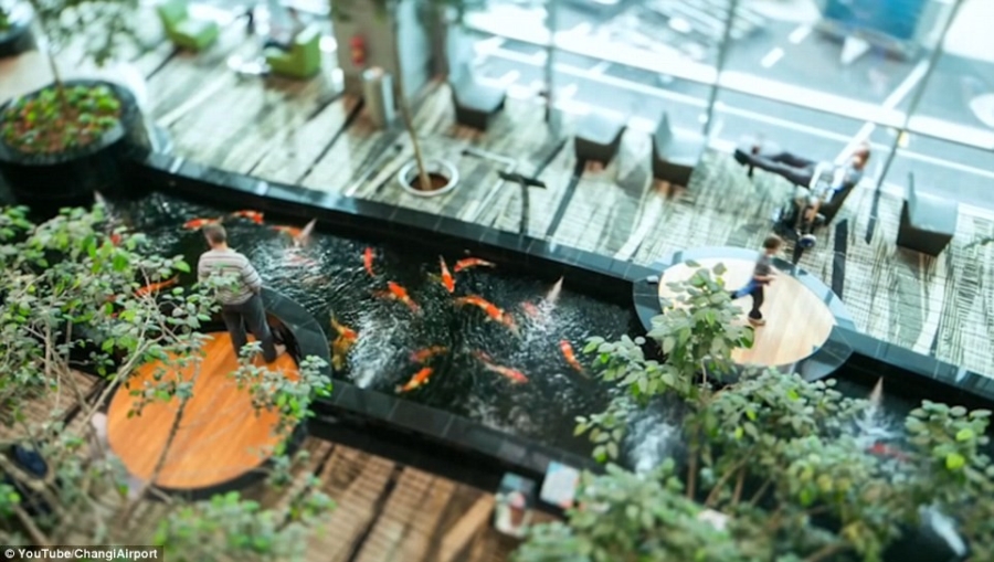 24 gio ben trong Changi - san bay tot nhat the gioi hinh anh 5