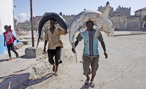 su that bat ngo ve cuop bien somalia hinh anh 3