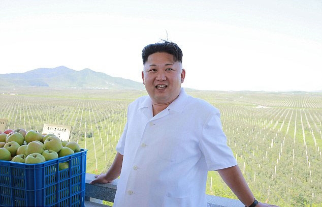 kim jong-un uong 10 chai bordeaux dat tien trong bua toi? hinh anh 1