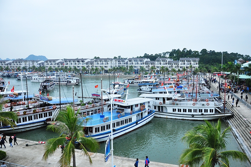 Image result for cảng tuần châu