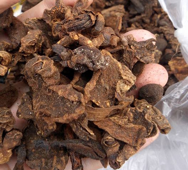 chuyện tình dục, nấm ngọc cẩu, chuyện phòng the, chuyện chăn gối, chuyện vợ chồng
