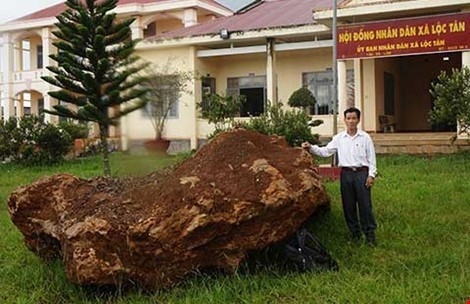 Lam Dong se ban dau gia tang da quy nang 20 tan hinh anh 1
